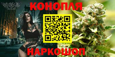 амф Камышлов
