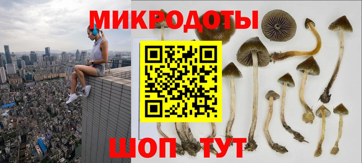 Южно-Сахалинск  Псилоцибиновые грибы MAGIC MUSHROOMS  Вход с VPN 